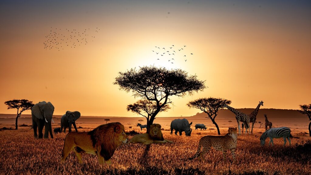 Viajes Viramundo - Safaris África