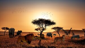 Viajes Viramundo - Safaris África