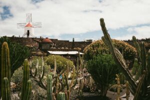 Viajes Viramundo - Lanzarote 2