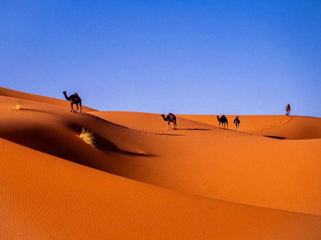 Viajes Viramundo - Marruecos