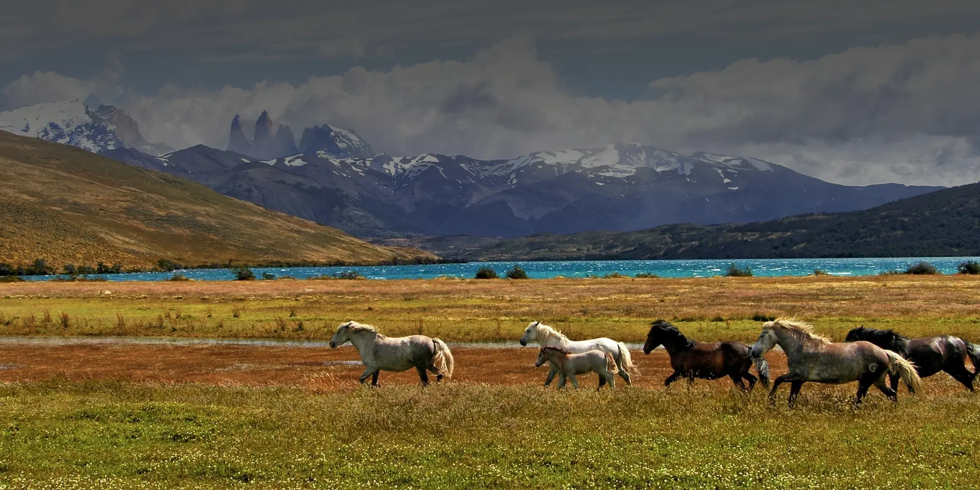 Centro y Sur América